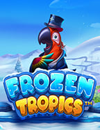 สูตรเล่นสนุกที่ทาง เข้า nextbet เล่นง่ายกำไรดี